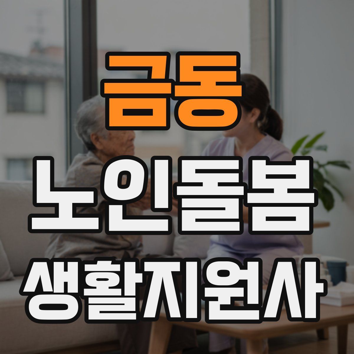 금동 노인돌봄생활지원사 자격증