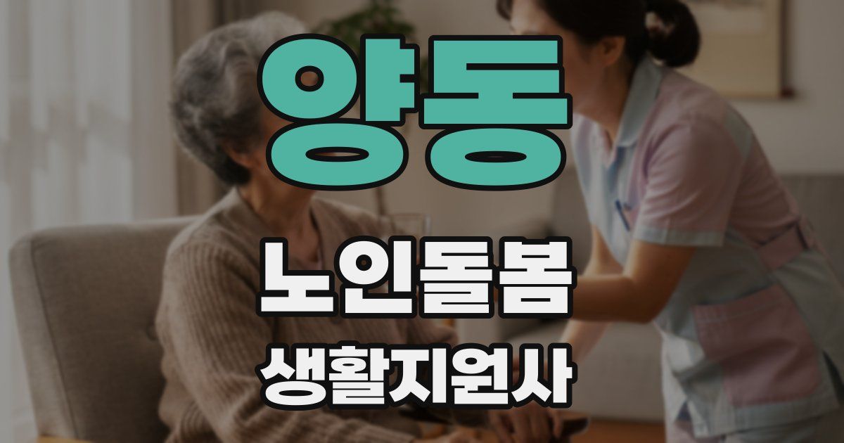 양동 노인돌봄생활지원사 자격증