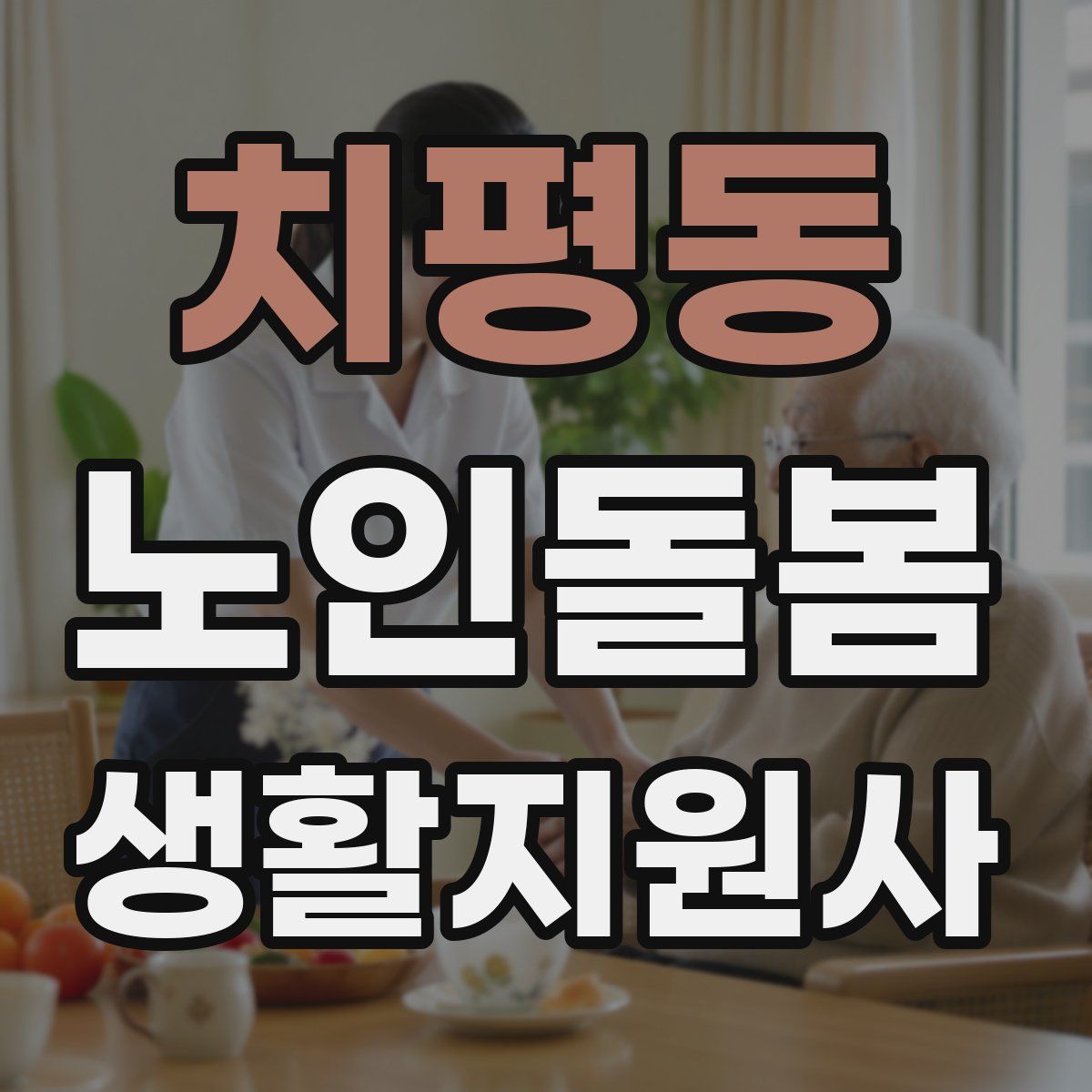 치평동 노인돌봄생활지원사 자격증