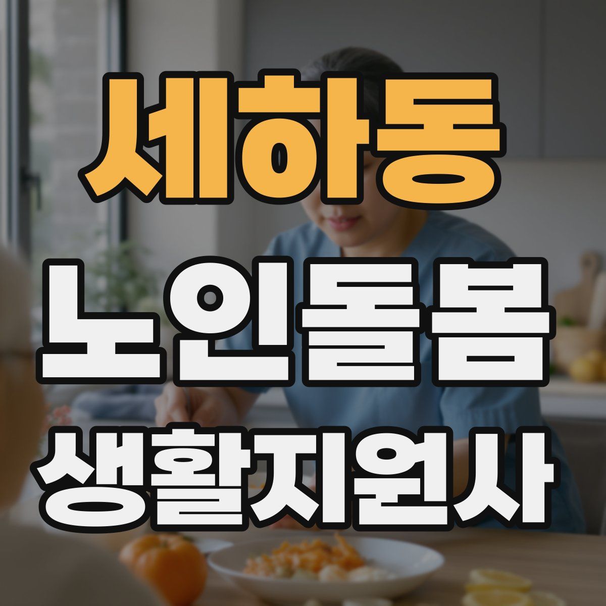 세하동 노인돌봄생활지원사 자격증