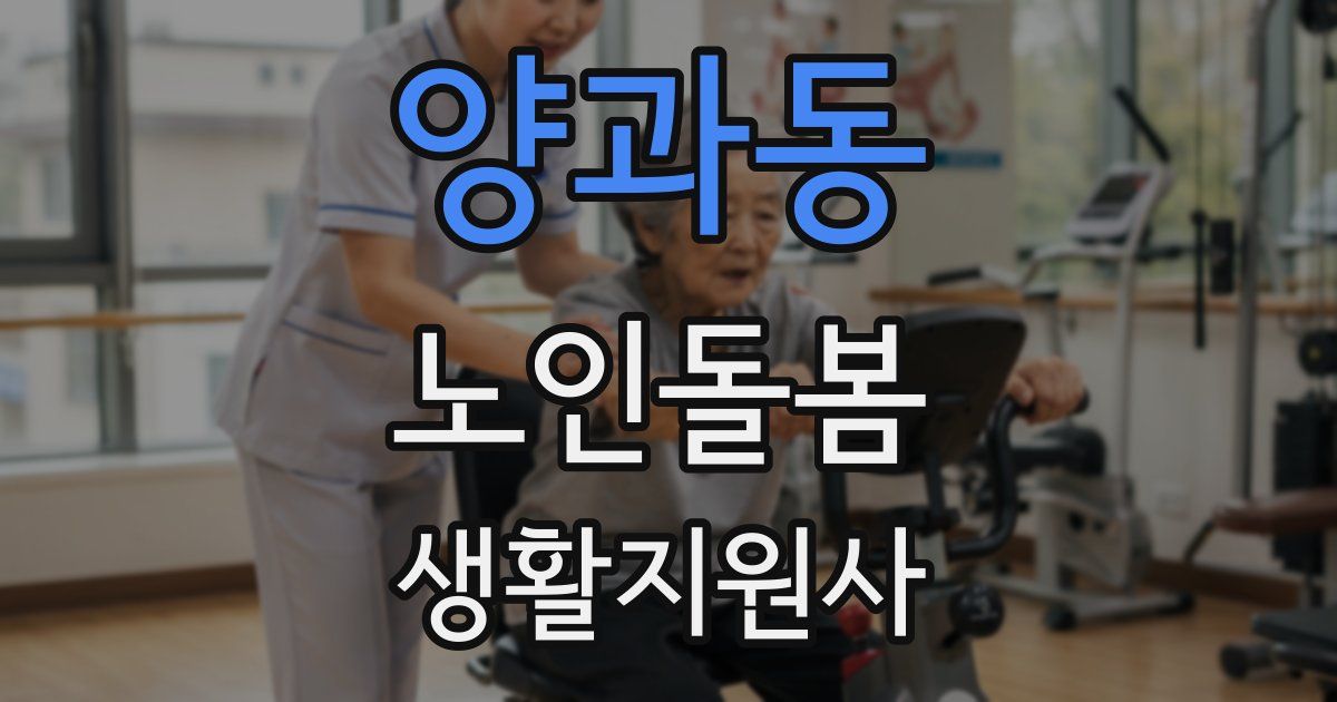 양과동 노인돌봄생활지원사 자격증