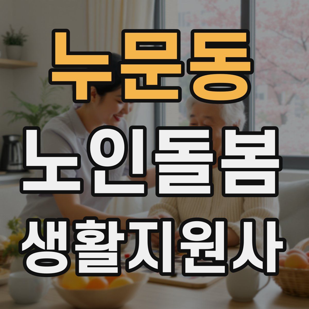 누문동 노인돌봄생활지원사 자격증
