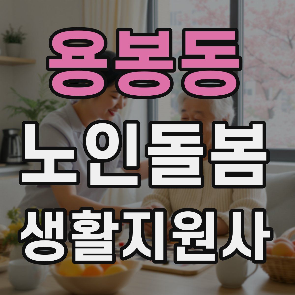 용봉동 노인돌봄생활지원사 자격증