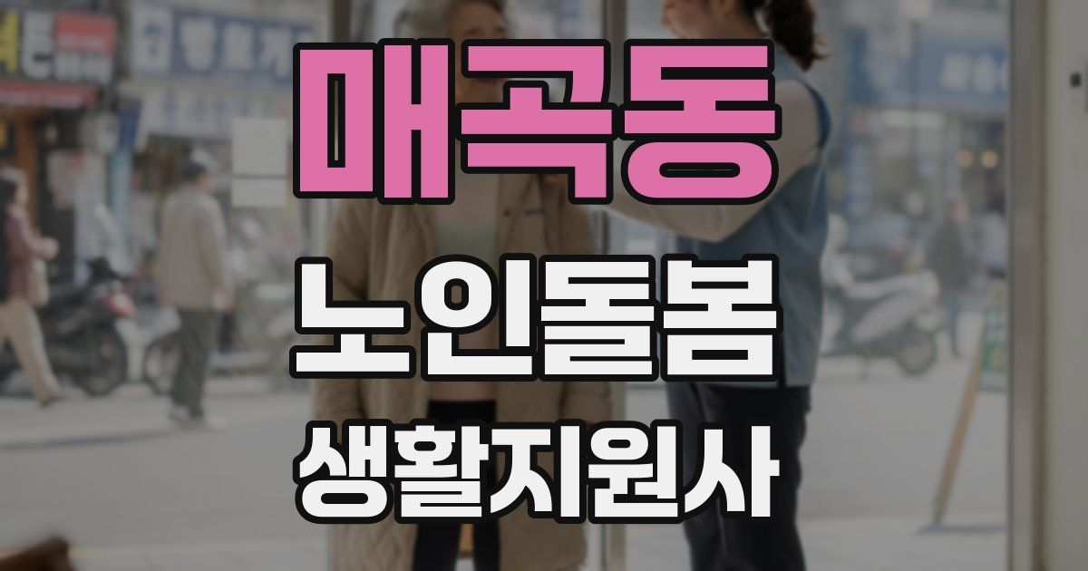 매곡동 노인돌봄생활지원사 자격증