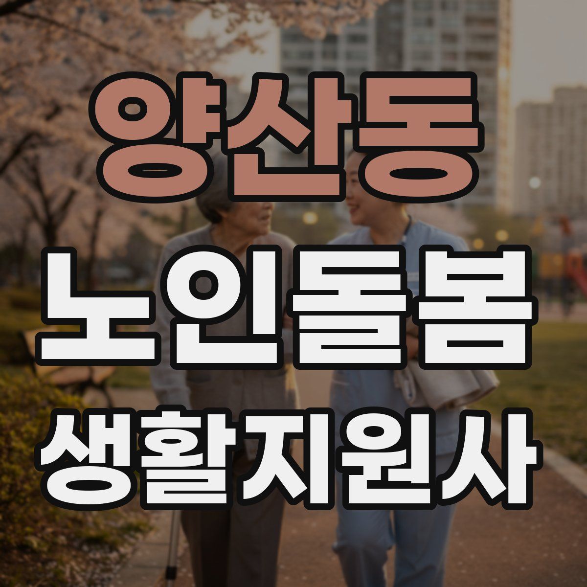 양산동 노인돌봄생활지원사 자격증