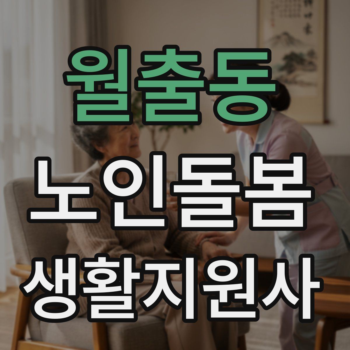 월출동 노인돌봄생활지원사 자격증 복약 정보를 확인하는 방법 정리
