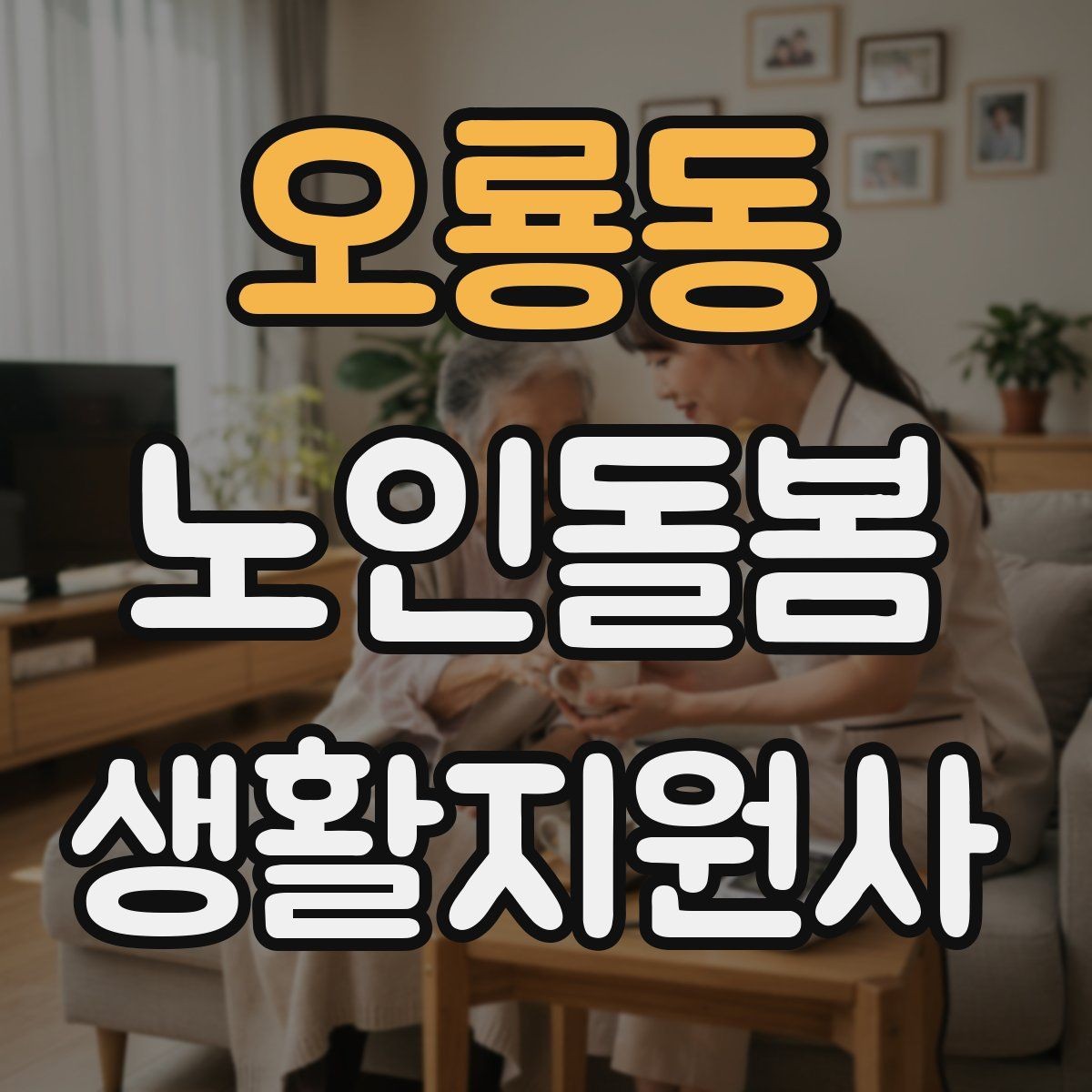 오룡동 노인돌봄생활지원사 자격증 민간자격증 선택 시 확인해야 할 것