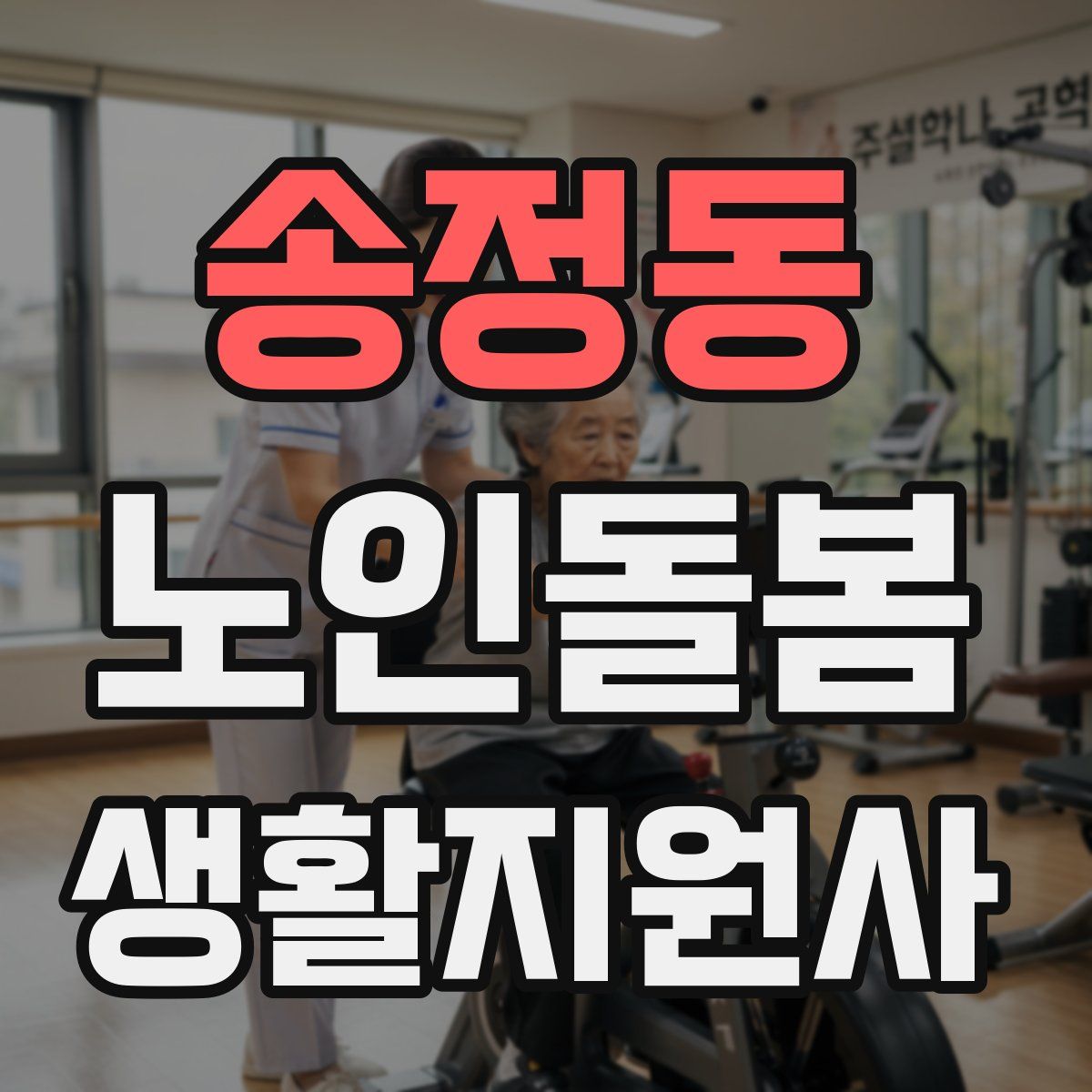송정동 노인돌봄생활지원사 자격증