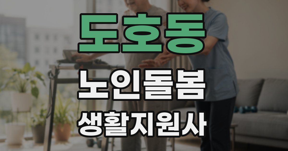 도호동 노인돌봄생활지원사 자격증