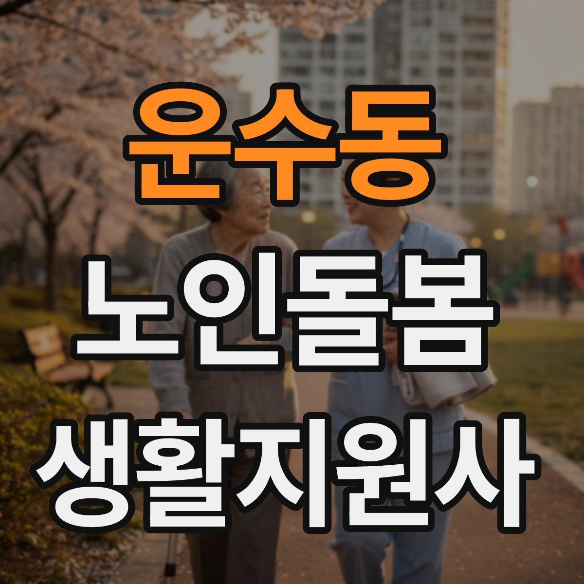 운수동 노인돌봄생활지원사 자격증