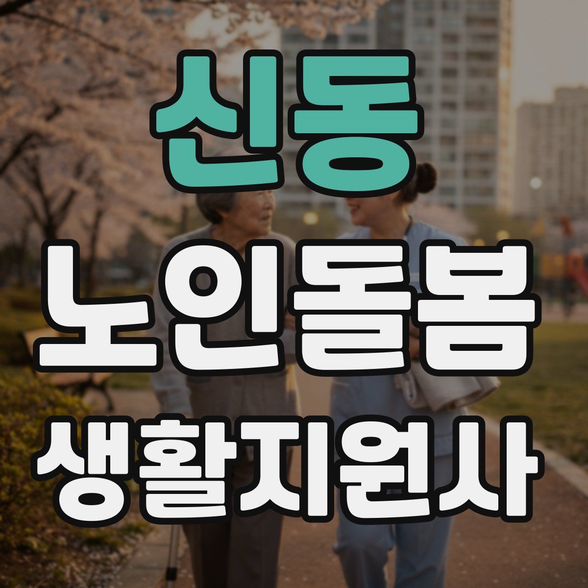 신동 노인돌봄생활지원사 자격증