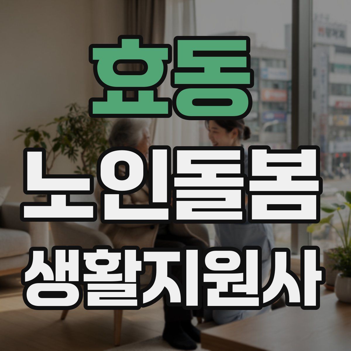 효동 노인돌봄생활지원사 자격증