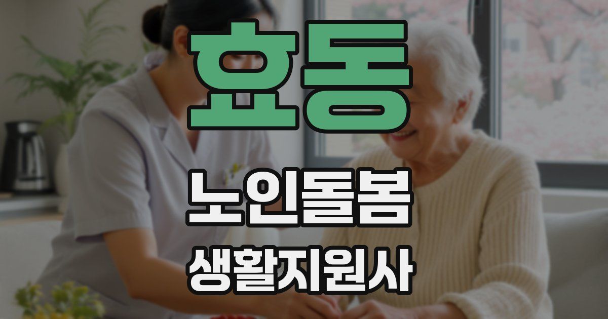 효동 노인돌봄생활지원사 자격증