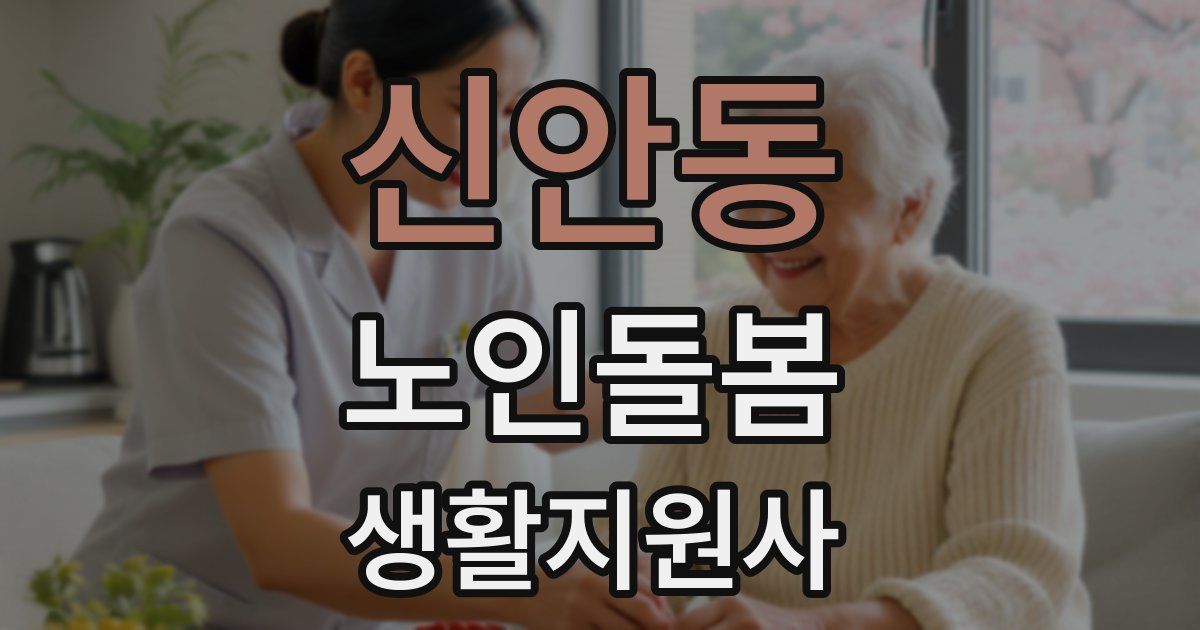 신안동 노인돌봄생활지원사 자격증
