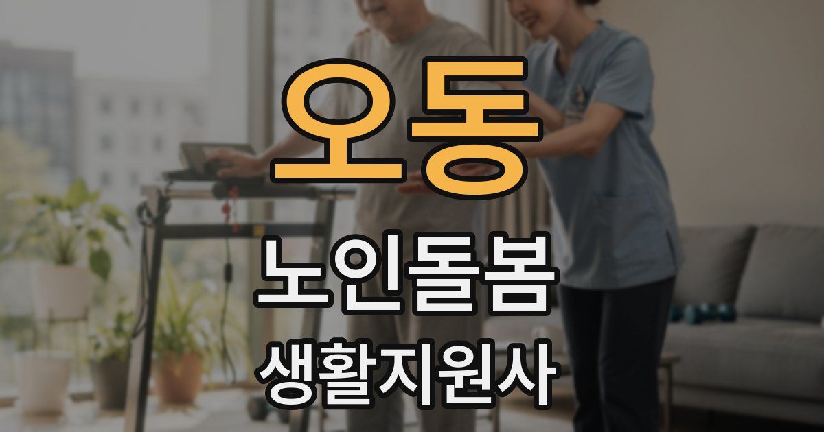 오동 노인돌봄생활지원사 자격증