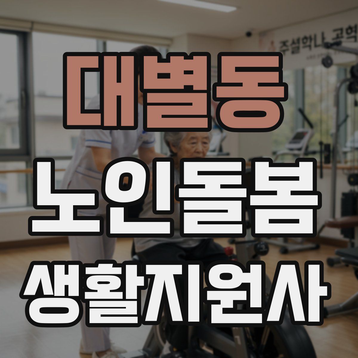 대별동 노인돌봄생활지원사 자격증
