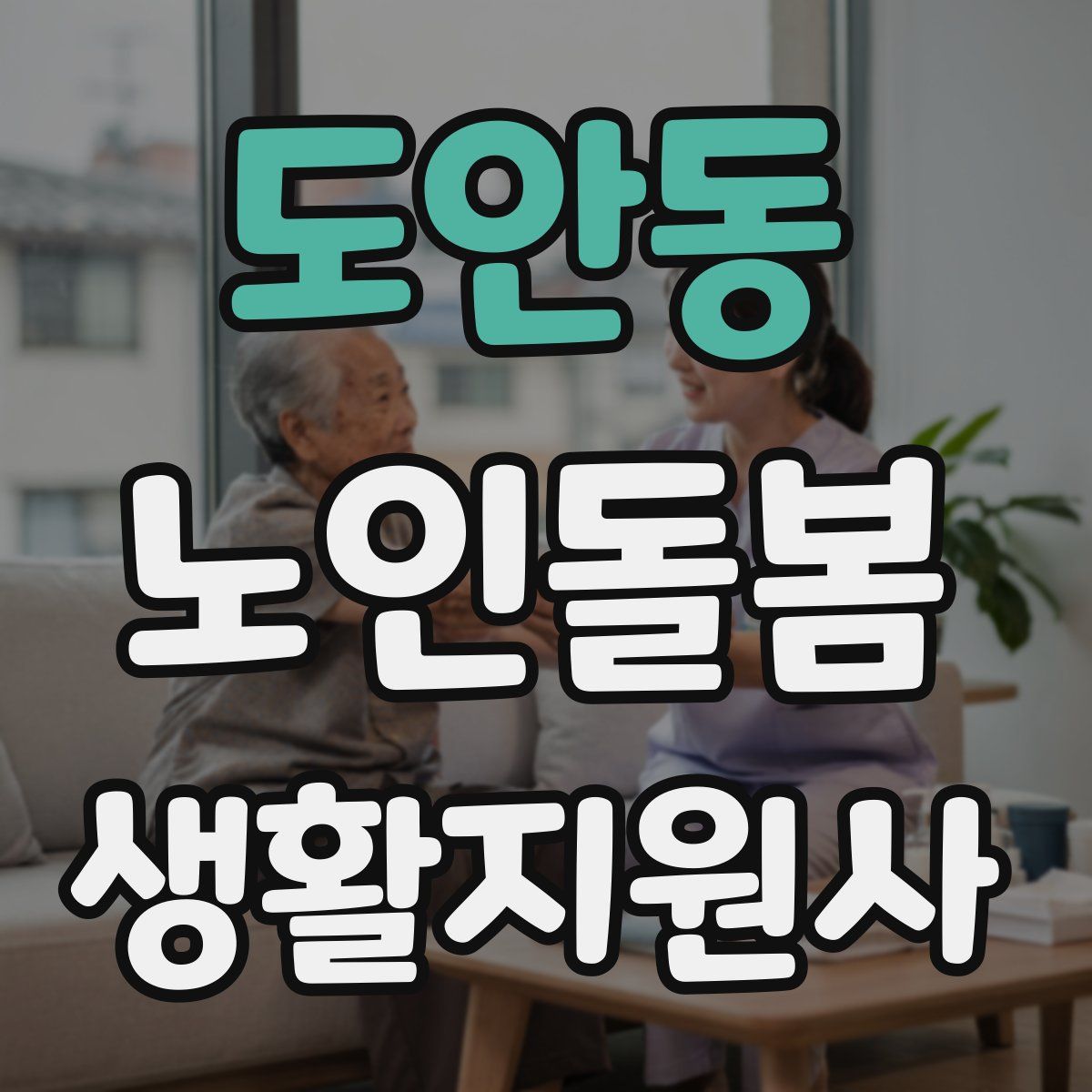 도안동 노인돌봄생활지원사 자격증