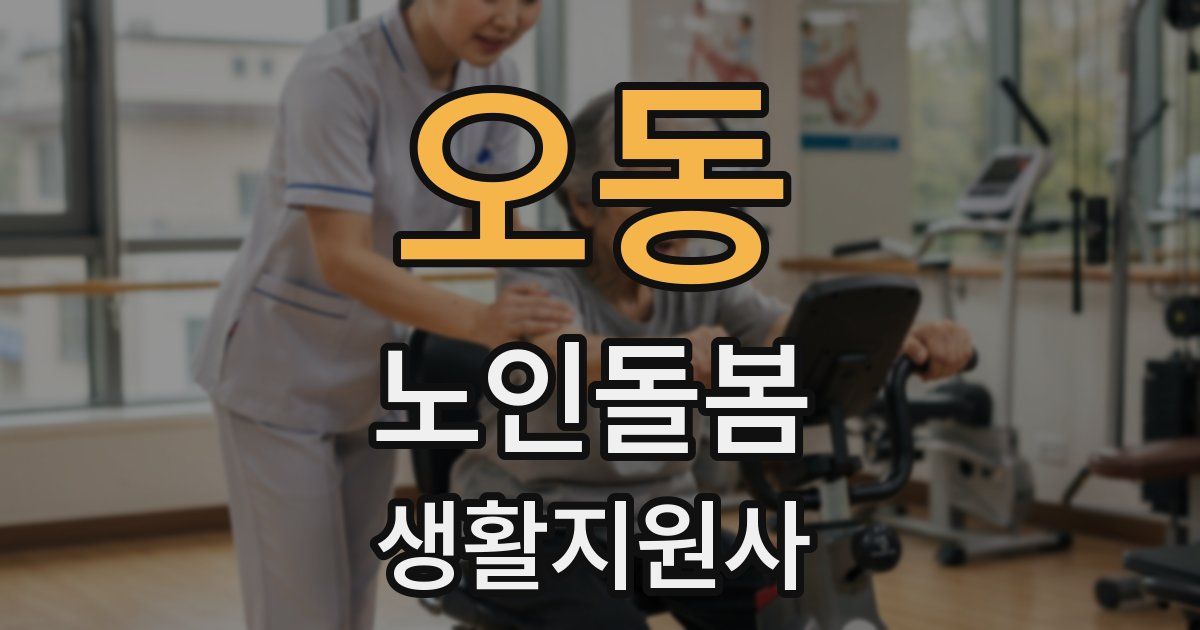오동 노인돌봄생활지원사 자격증