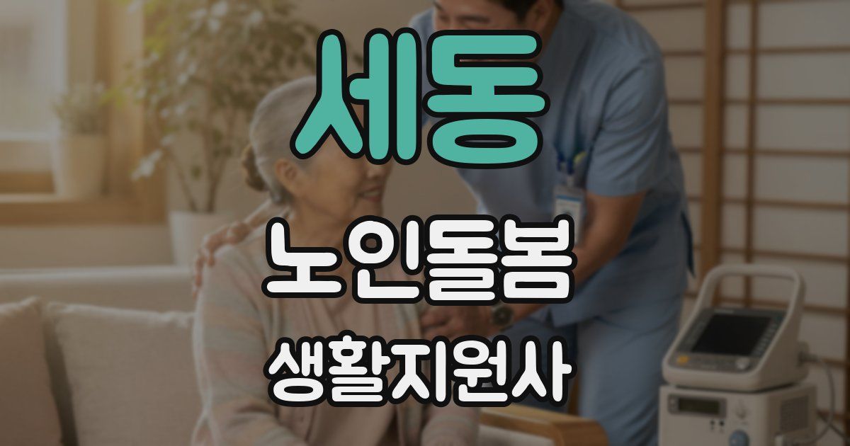 세동 노인돌봄생활지원사 자격증