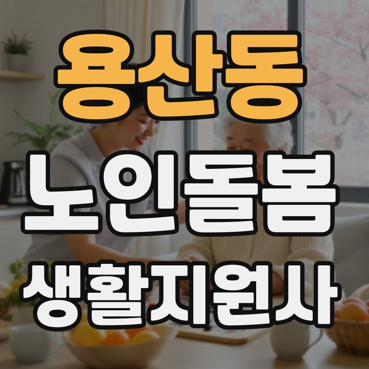 용산동 노인돌봄생활지원사 자격증