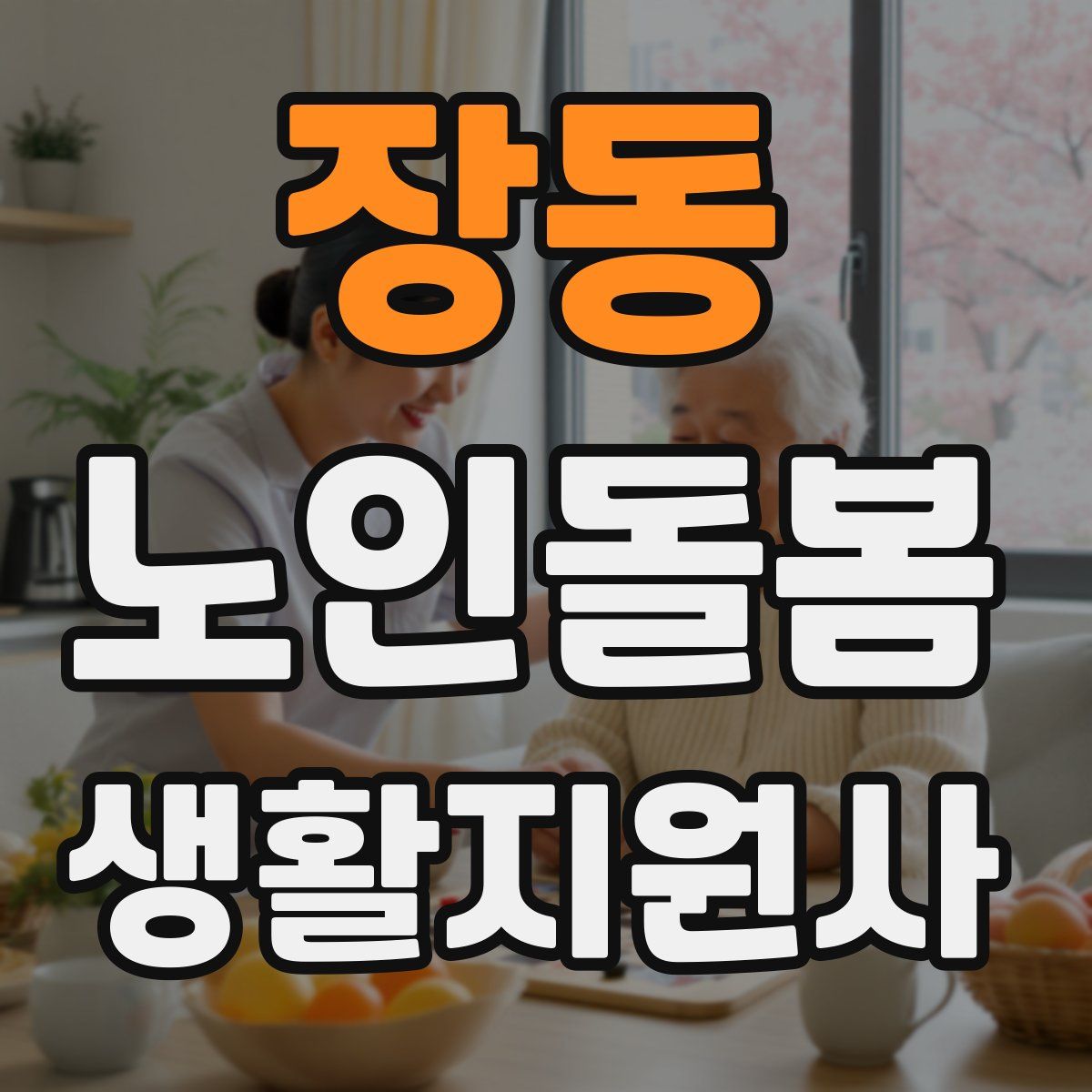 장동 노인돌봄생활지원사 자격증