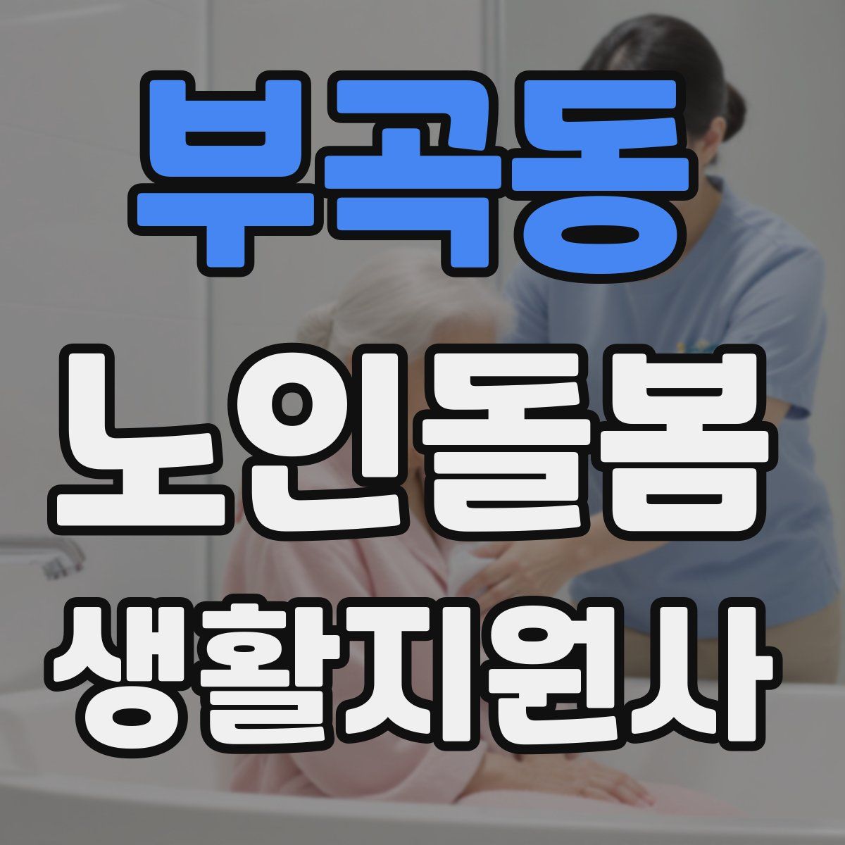부곡동 노인돌봄생활지원사 자격증
