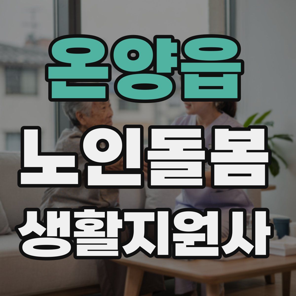 온양읍 노인돌봄생활지원사 자격증