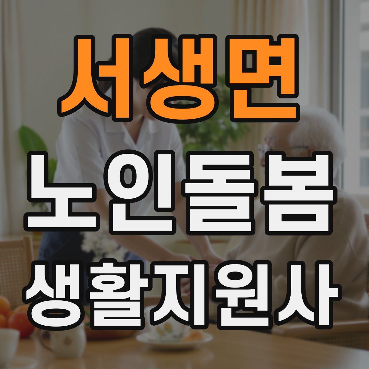 서생면 노인돌봄생활지원사 자격증