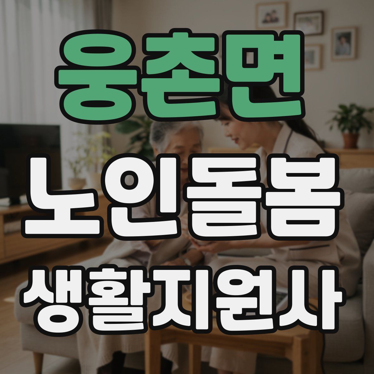 웅촌면 노인돌봄생활지원사 자격증