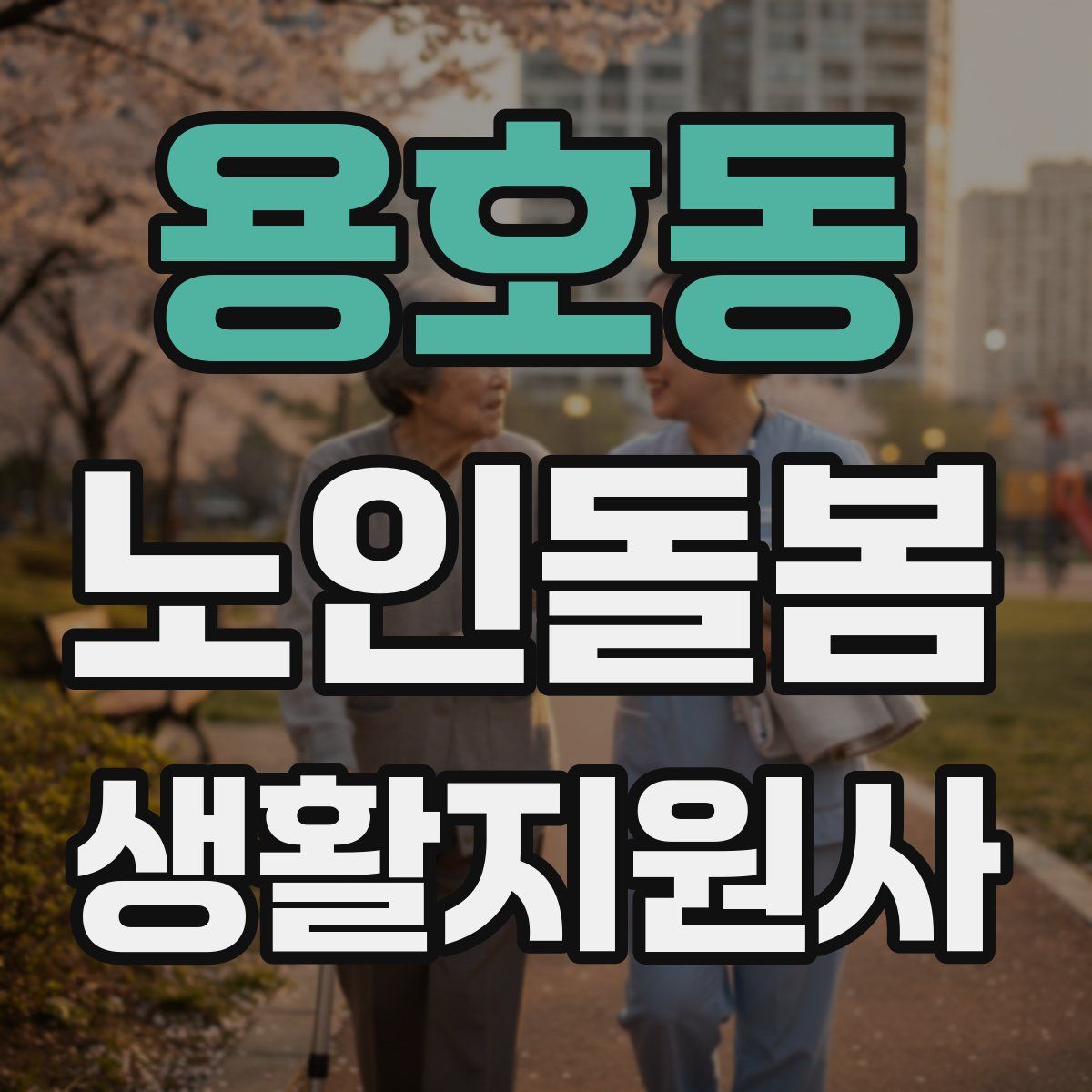 용호동 노인돌봄생활지원사 자격증