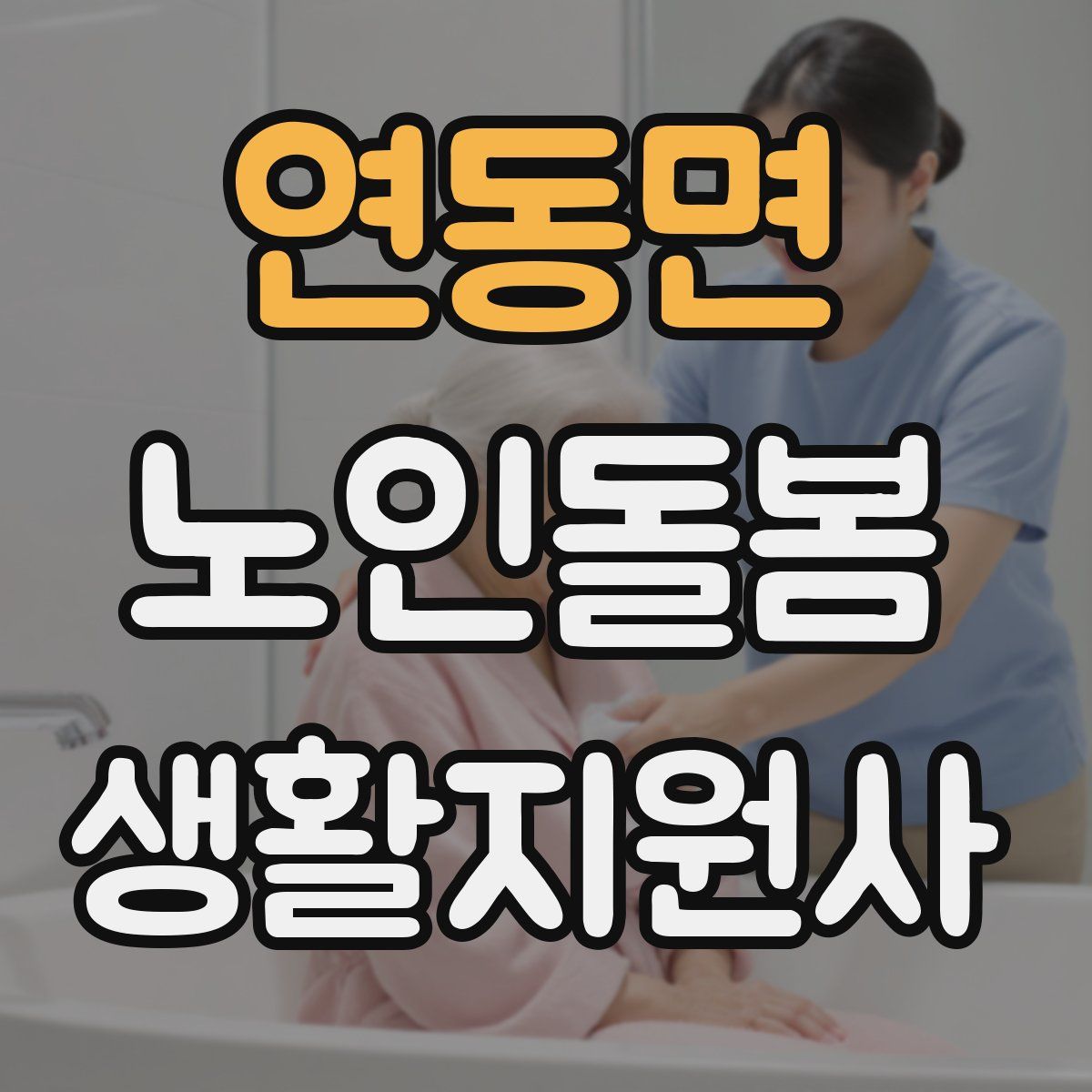 연동면 노인돌봄생활지원사 자격증