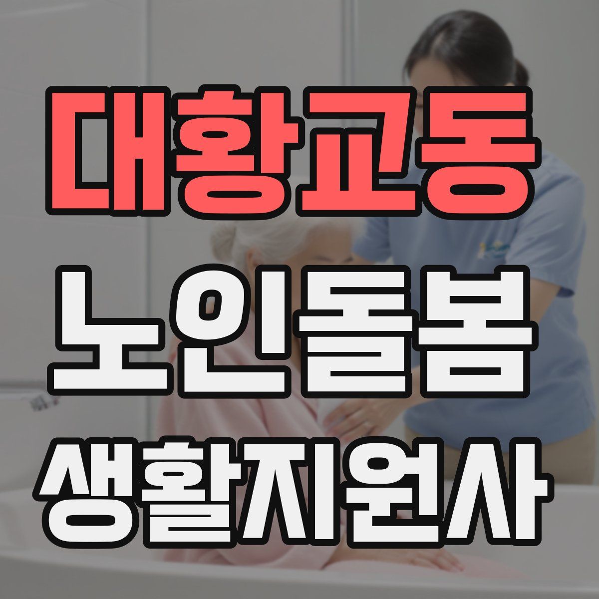 대황교동 노인돌봄생활지원사 자격증