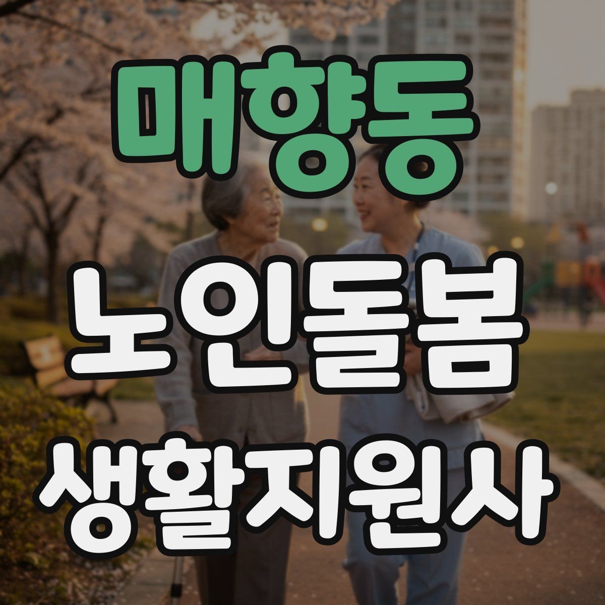 매향동 노인돌봄생활지원사 자격증 준비 전 알아둘 기본 역할