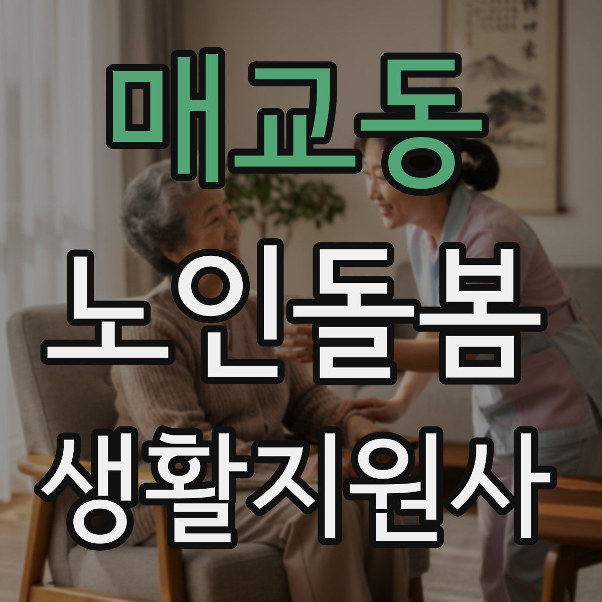 매교동 노인돌봄생활지원사 자격증