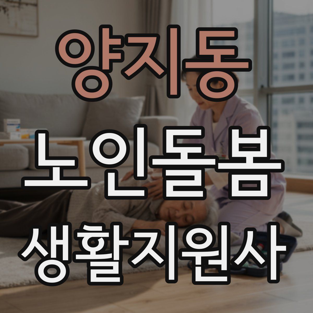 양지동 노인돌봄생활지원사 자격증