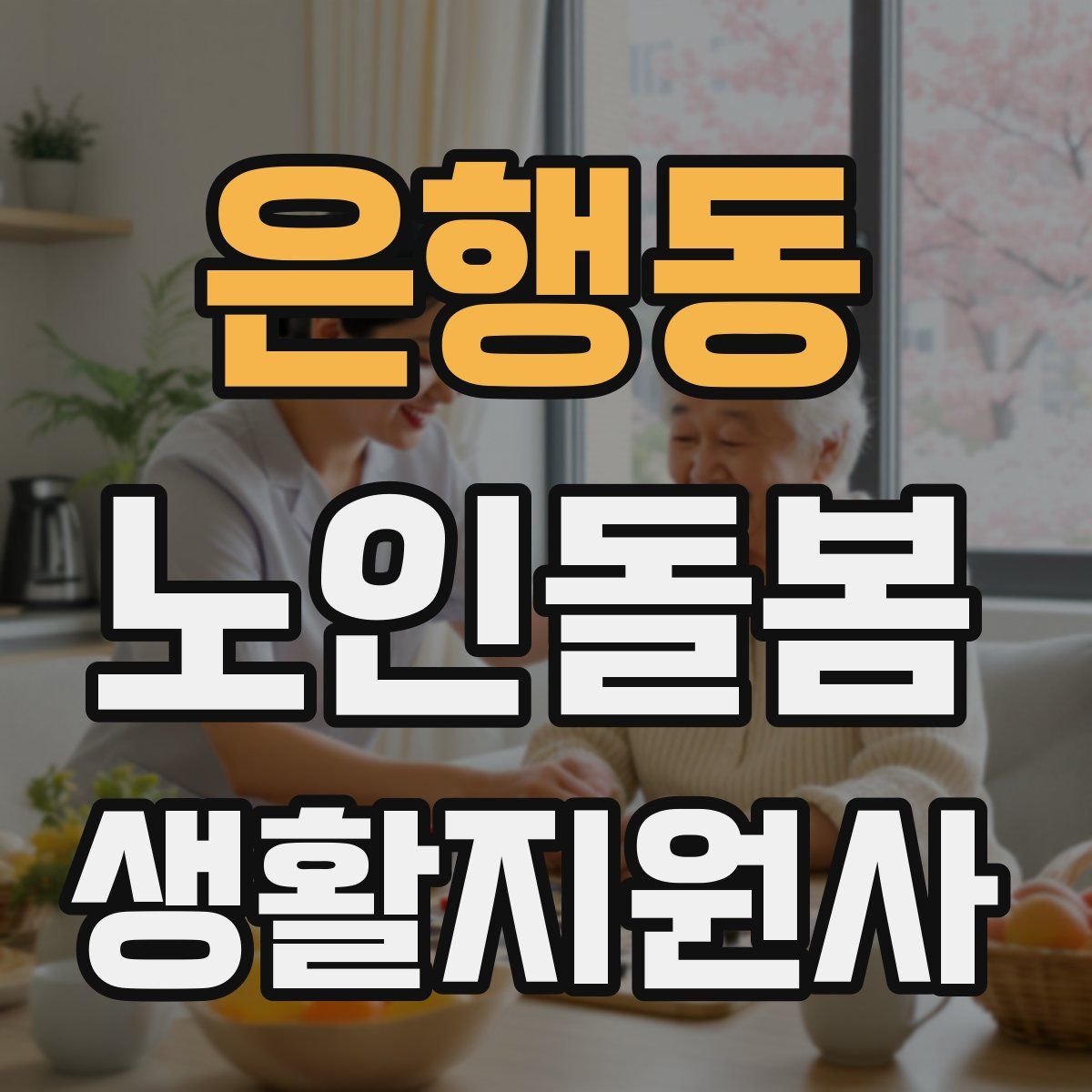은행동 노인돌봄생활지원사 자격증