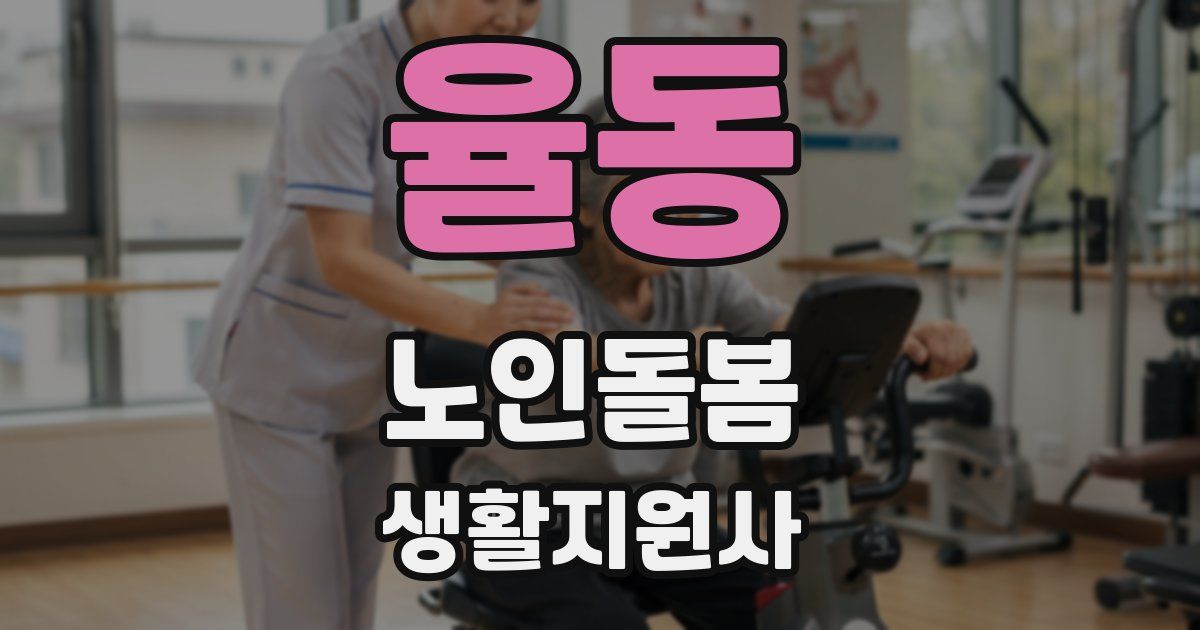 율동 노인돌봄생활지원사 자격증