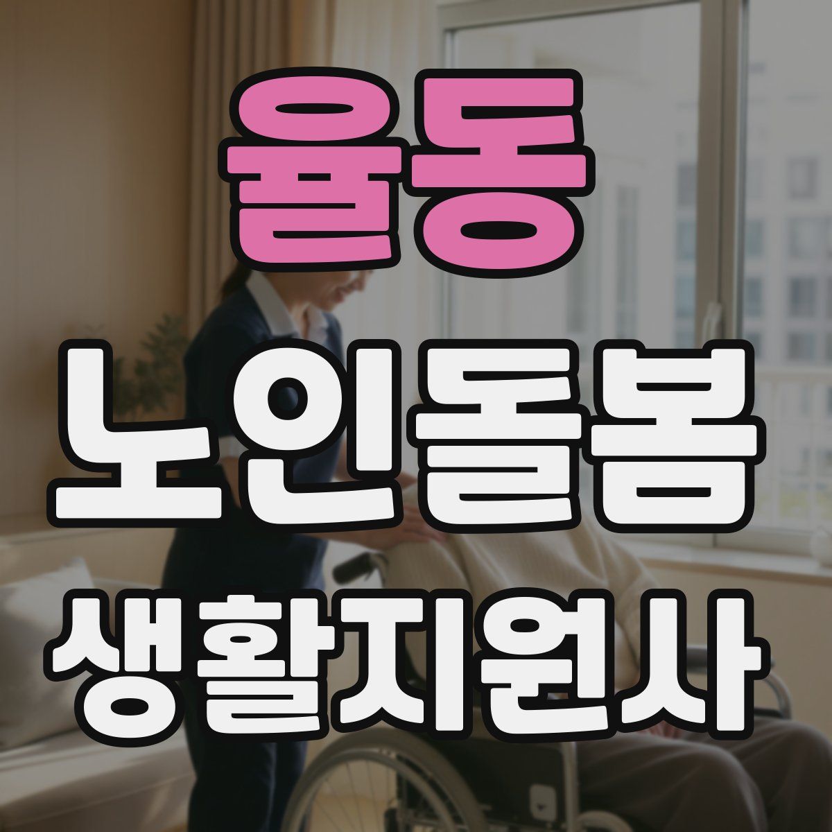 율동 노인돌봄생활지원사 자격증