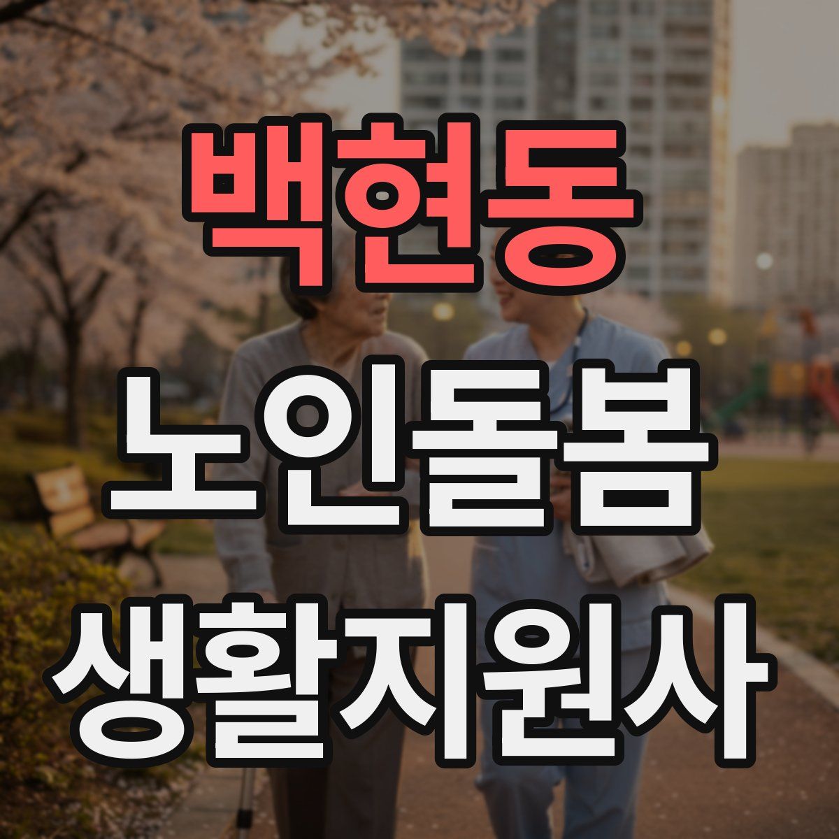 백현동 노인돌봄생활지원사 자격증