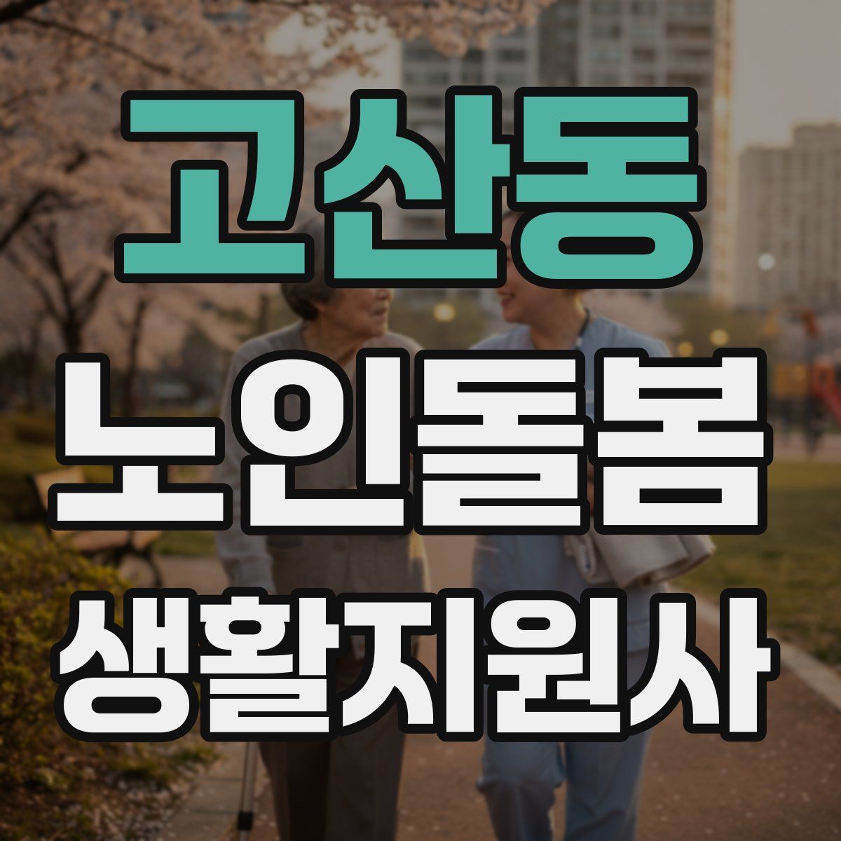 고산동 노인돌봄생활지원사 자격증