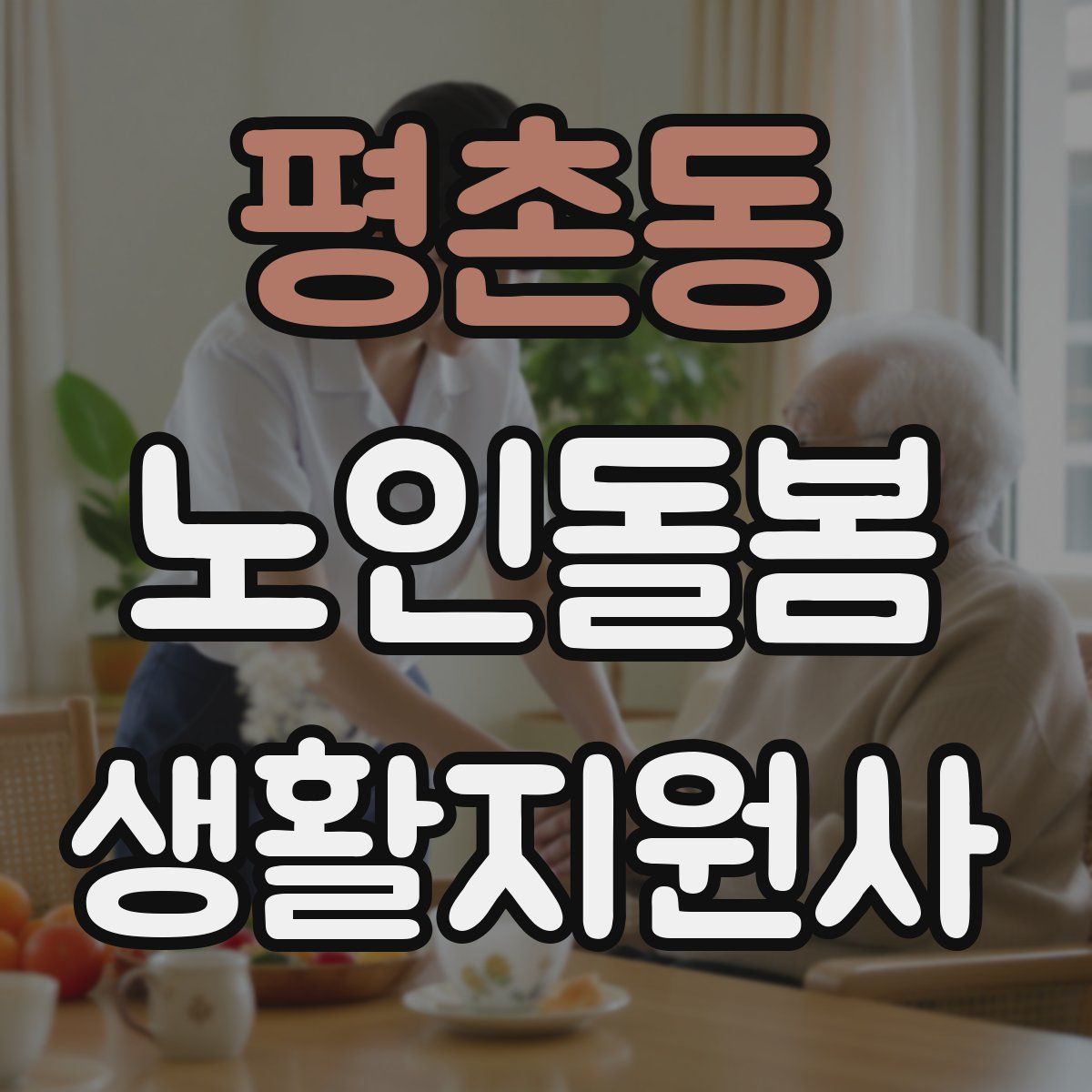 평촌동 노인돌봄생활지원사 자격증