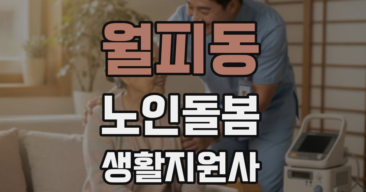 월피동 노인돌봄생활지원사 자격증