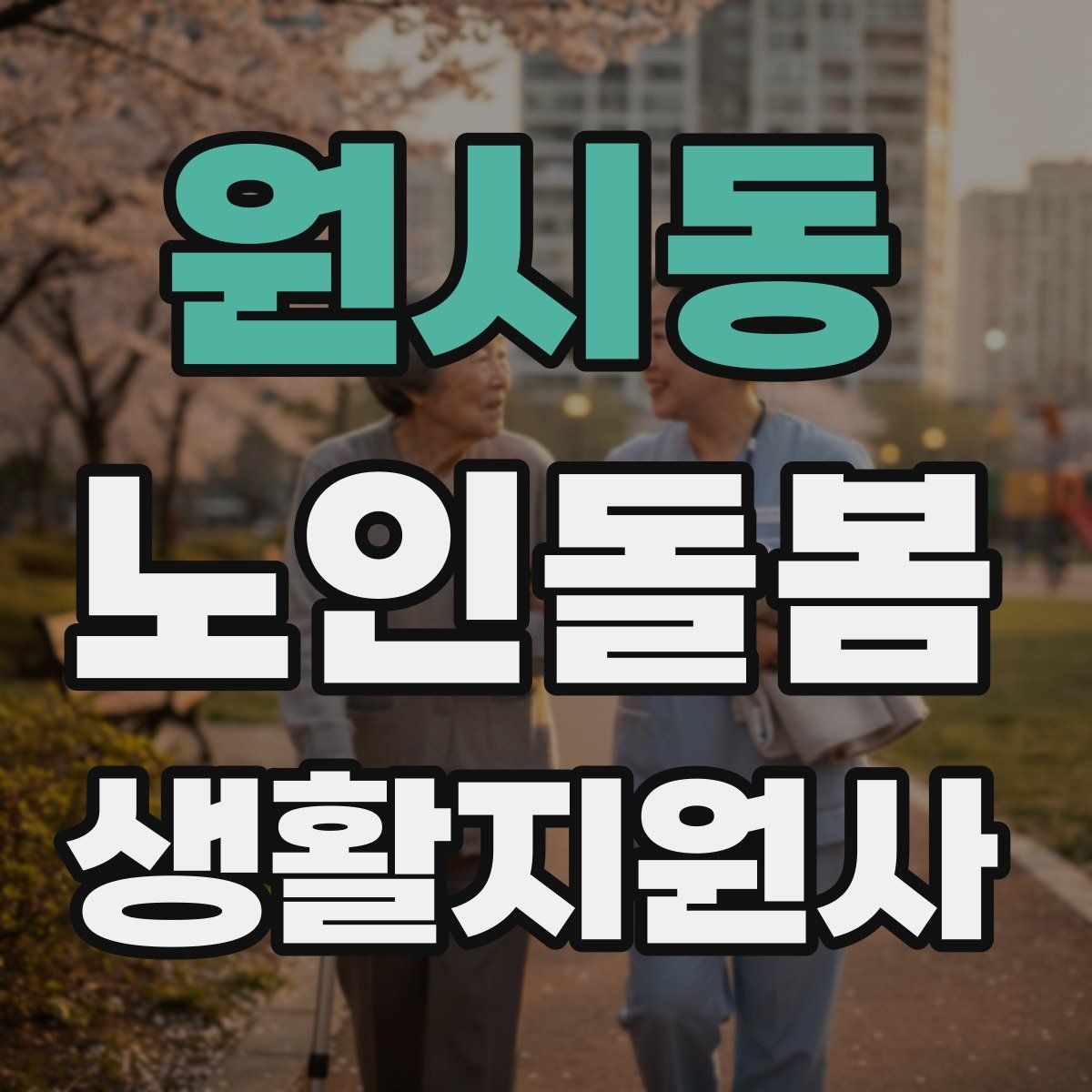 원시동 노인돌봄생활지원사 자격증 감염 예방을 위한 기본 위생 루틴