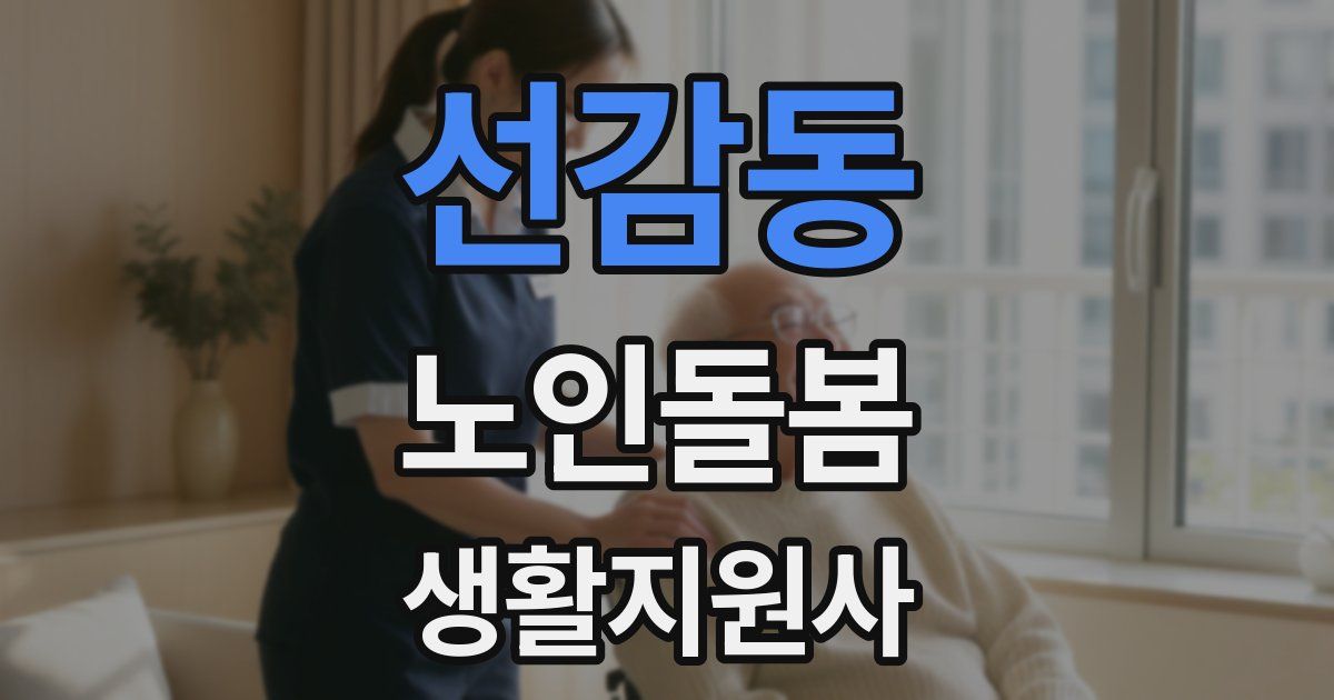 선감동 노인돌봄생활지원사 자격증