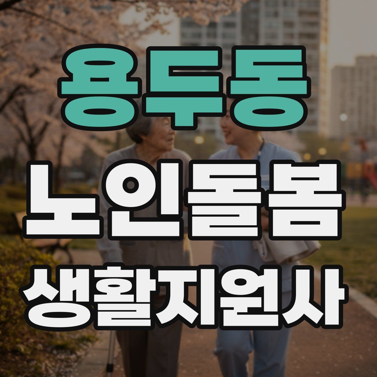 용두동 노인돌봄생활지원사 자격증