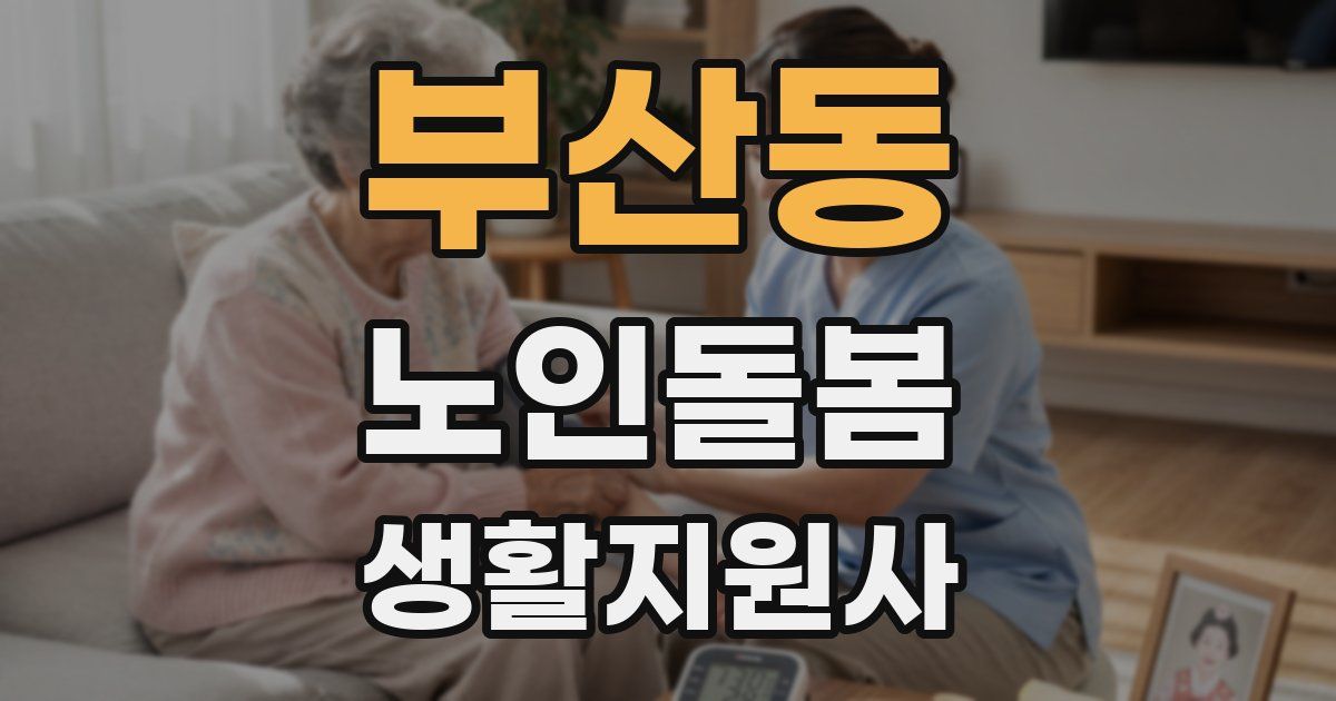 부산동 노인돌봄생활지원사 자격증