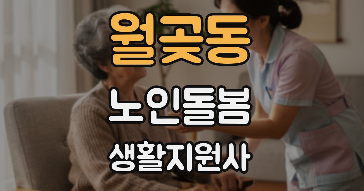 월곶동 노인돌봄생활지원사 자격증