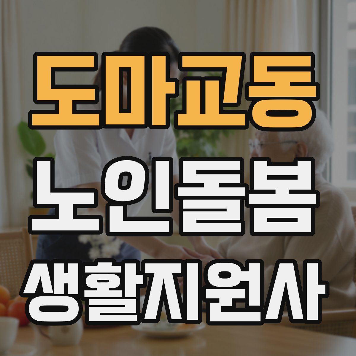 도마교동 노인돌봄생활지원사 자격증