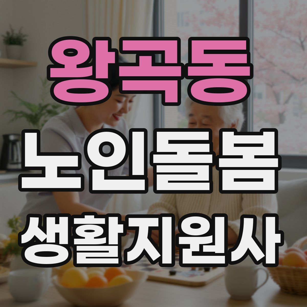 왕곡동 노인돌봄생활지원사 자격증