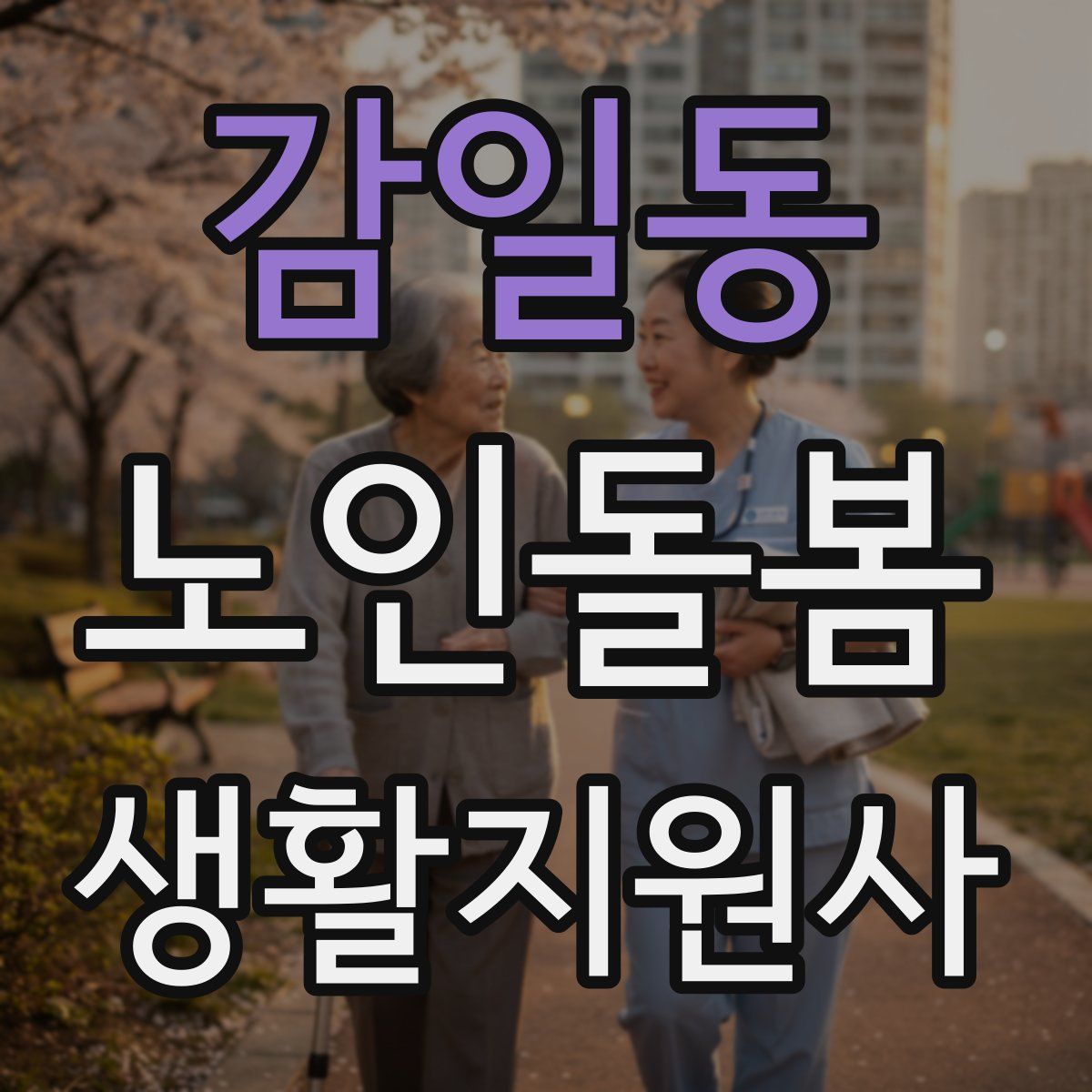 감일동 노인돌봄생활지원사 자격증